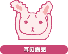 耳の病気